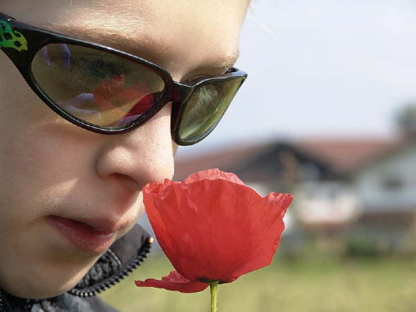 Mr. Cool trifft zarte Bl�te